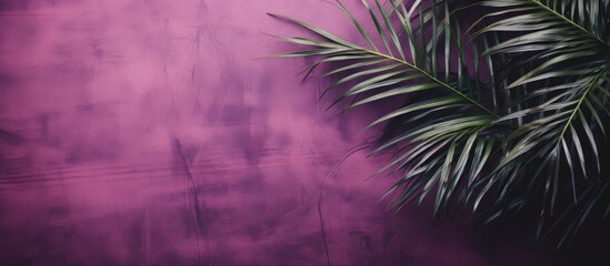 Palm leaf on vintage background stock photo representing Lent Holy Week and Good Friday