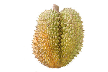 Durian is the most popular fruit in Thailand isolated on white background .