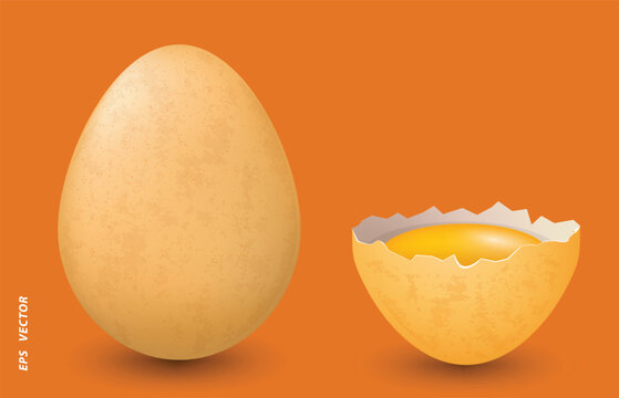 set of realistic shinny chicken eggs isolated. 3D Render