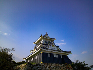 Fototapeta premium 青空に映える浜松城天守閣
