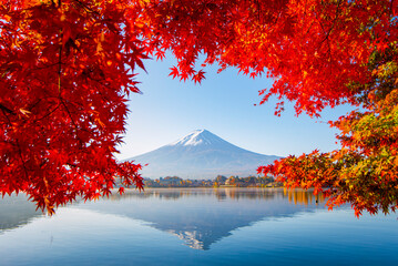 Fuji Mountain and Red Maple Leaves in Autumn, Kawaguchiko Lake, Japan 
