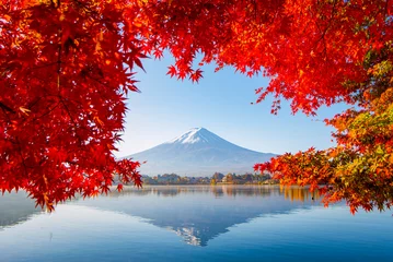Peel and stick wall murals Rood violet Fuji Mountain and Red Maple Leaves in Autumn, Kawaguchiko Lake, Japan 