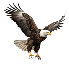american bald eagle isolated on transparent background