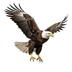 Obraz premium american bald eagle isolated on transparent background
