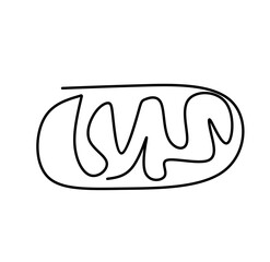 one continuous line of Mitochondria on a white background