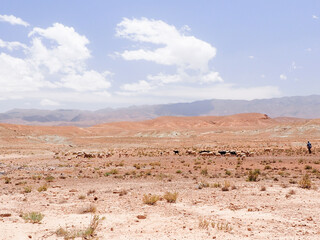 モロッコの荒野