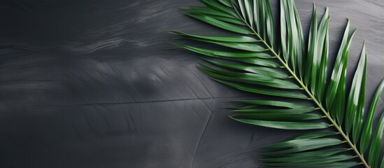 Christian observance of Lent Holy Week and Good Friday with palm leaves and cross on stone background