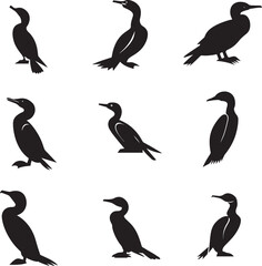 Cormorant Vector silhouette Illustration 