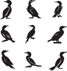 Cormorant Vector silhouette Illustration 