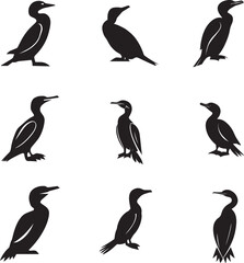 Cormorant Vector silhouette Illustration 