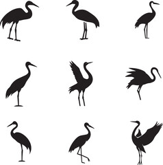 Crane bird Vector silhouette illustration