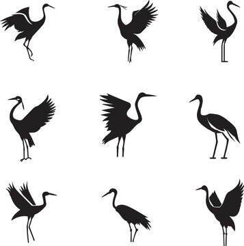 Crane bird Vector silhouette illustration