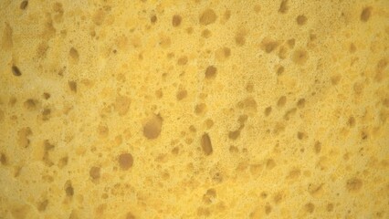 synthetic sponge, close-up, 3d render