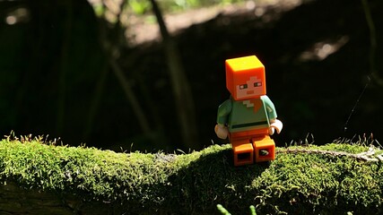 Obraz premium LEGO Minecraft figure of main character Alex sitting on a branch of moss covered tree Thuja Orientalis, sunlit by afternoon spring sunshine. 