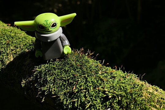 LEGO Star Wars small figure of Baby Yoda alias Grogu from TV series Mandalorian standing on moss covered branch of Thuja Orientalis tree.