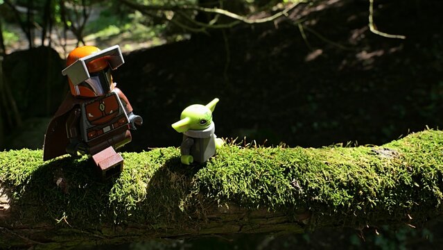 LEGO Star wars Mandalorian and Baby Yoda alias Grogu walking on moss covered branch of Thuja Orientalis tree, afternoon sunshine.