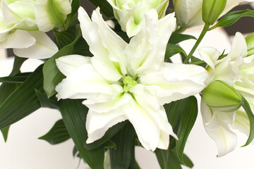 Large bouquet of blooming white lilies in a glass vase on a white background. White lilies in a vase isolated
