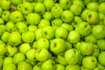 fresh green apple as fruit background