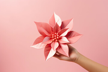 person holding pink poinsettia flower