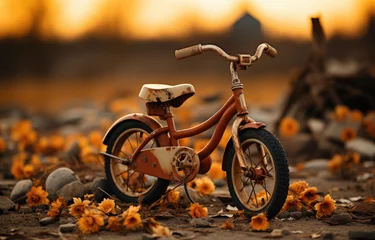 Foto op Plexiglas bicycle in the park © 효섭 이