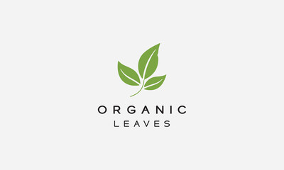 Organic and naturel logo vector and icon design