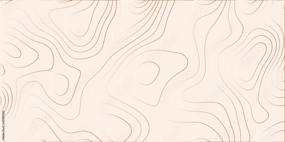 Fototapete Abstract background with beige gradient Topographic line map pattern. Contour elevation topographic and textured Background Modern design with White background with topographic wavy patte.