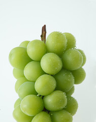 シャインマスカット　　　　白バック