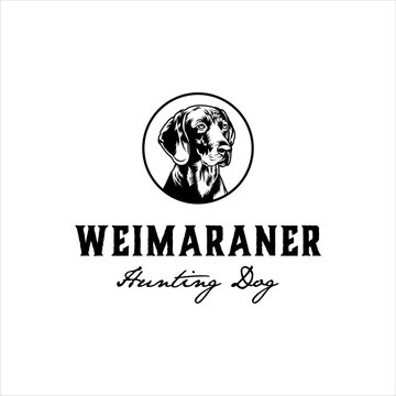Weimaraner dog face in round badge with classic style design