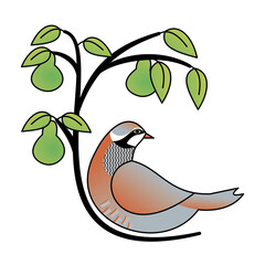 Illustration of a partridge in a pear tree