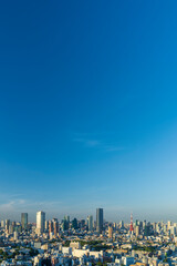 Fototapeta premium 快晴の東京タワーと東京都心の都市風景
