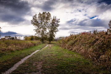 Beautiful Fall moment in Quebec, Canada