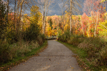 Beautiful Fall moment in Quebec, Canada