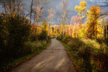 Fototapeta na wymiar Beautiful Fall moment in Quebec, Canada