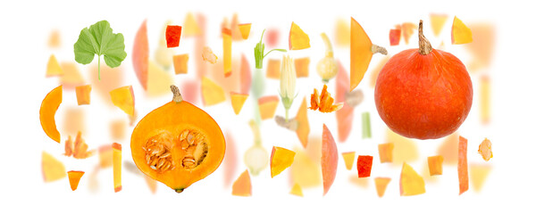 Pumpkin Slice and Leaf Abstract