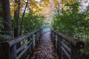 Fototapeta premium Beautiful Fall moment in Quebec, Canada