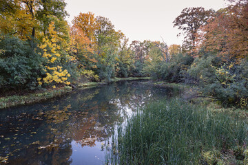 Beautiful Fall moment in Quebec, Canada