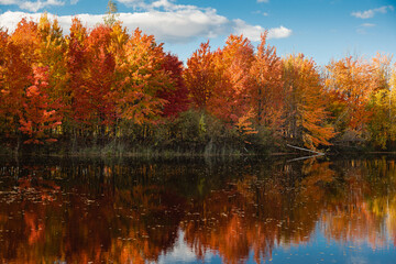 Fototapeta premium Beautiful Fall moment in Quebec, Canada