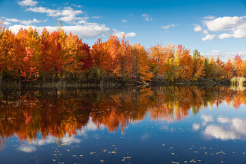 Beautiful Fall moment in Quebec, Canada