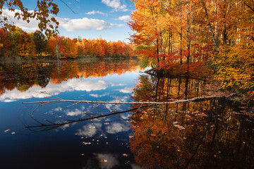 Beautiful Fall moment in Quebec, Canada