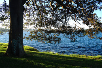 chilling relax in the park of Mrs Macquarie's Chair in Royal Botanic Garden Sydney NSW Australia