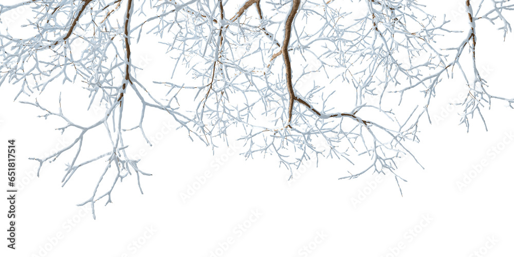 Wall mural isolated branches of a snow tree on white background