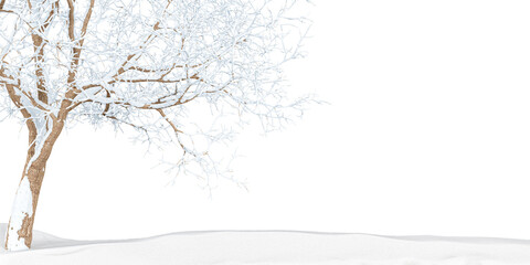 Winter landscape with tree snow on white