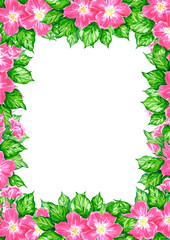 Hand drawn watercolor pink apple blossom frame boarder isolated on white background. Can be used for invitation, postcard, poster, book decoration and other printed products.