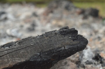 residue from the burning of organic waste such as wood, dry twigs and leaves, ashes and charcoal