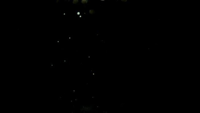 air bubbles overlay