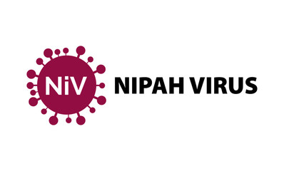 Nipah virus concept. illness outbreak. pandemic. Microscope virus close up Design for poster banner social media post