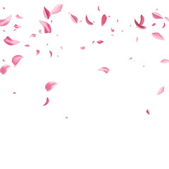 Red Sakura Beauty Vector White Background. Fall