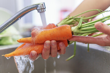 Woman hands washing fresh orange carrots in a kitchen