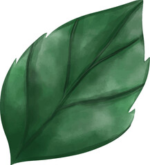 watercolor green leaf vector. Icon for wedding invitation card, greeting card, anniversary, fabric, romance, bouquet, pattern, decoration and textile