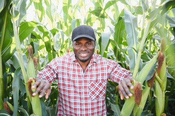 Young handsome African American Farmer or Agronomist inspects corn crop.